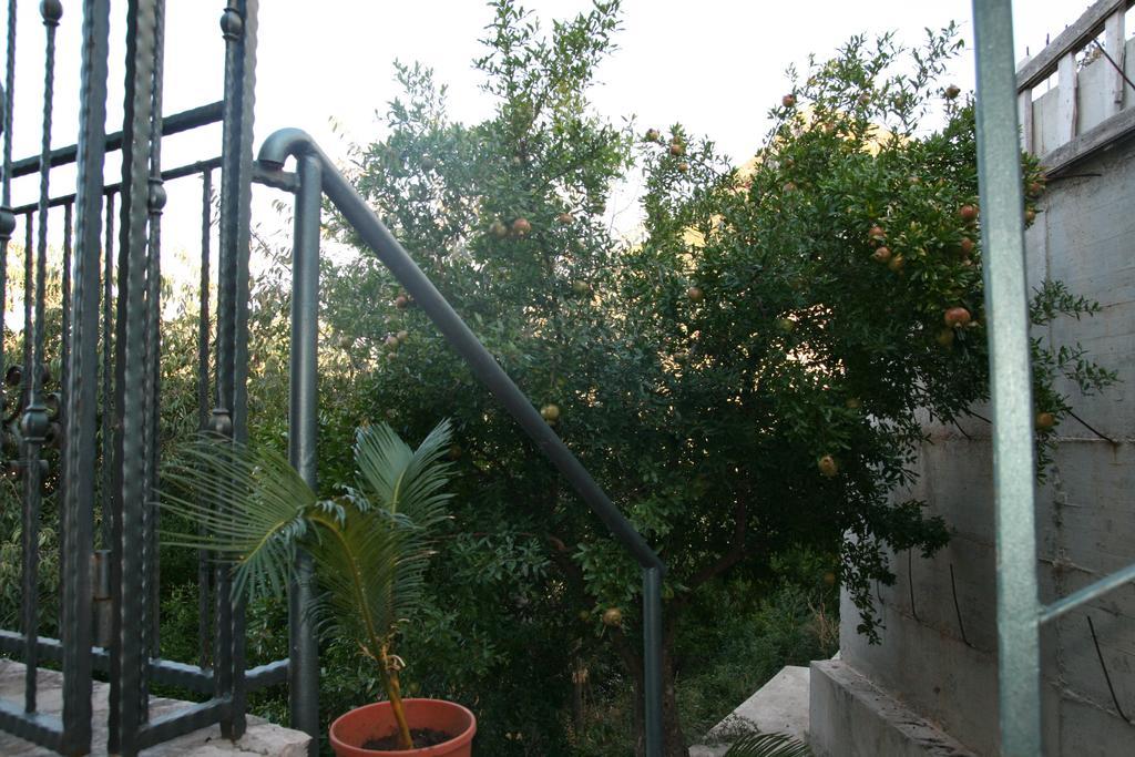 Apartments Villa Cucuk Budva Dış mekan fotoğraf